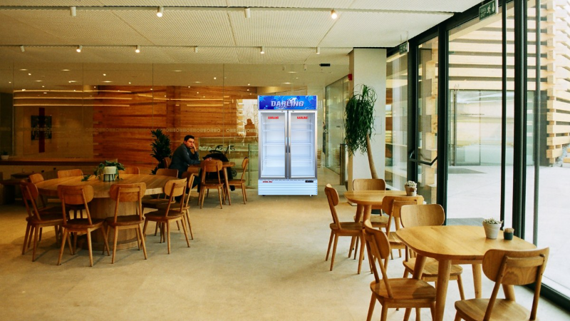 Tủ Mát Darling 630 Lít DL-7000A2